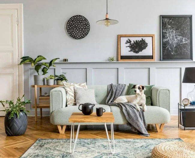 Best Interior Designers in Sahiwal